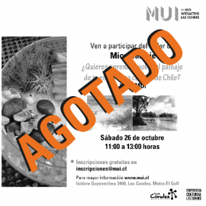 Captura de pantalla 2019-10-22 a las 10.08.14
