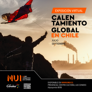 GRAFICA_CALENGLOBAL-02